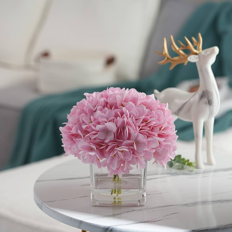 Hydrangea